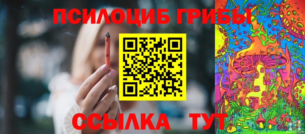 Галлюциногенные грибы Cubensis Верхняя Пышма