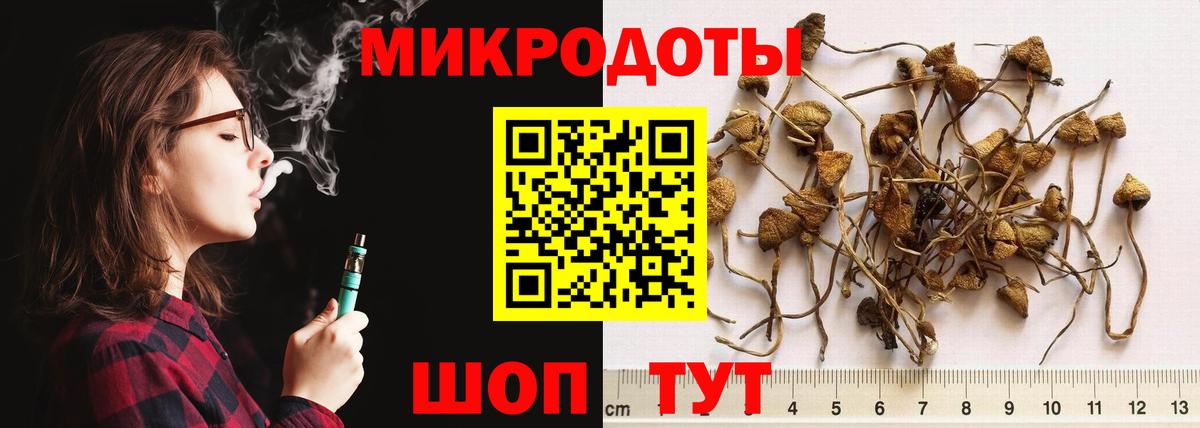 Псилоцибиновые грибы мухоморы  Вход с VPN  дарнет шоп  Верхняя Пышма  Псилоцибиновые грибы Cubensis 